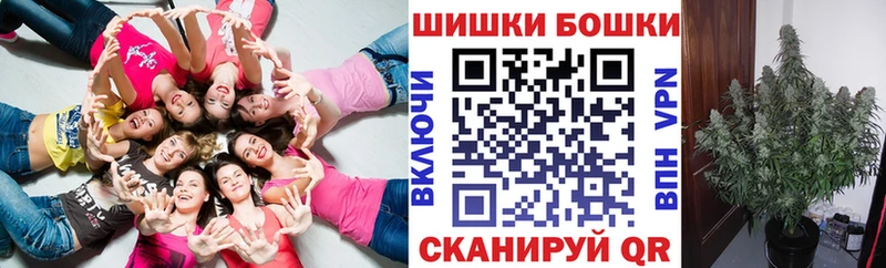 Бошки марихуана сатива  МЕГА ТОР  Лакинск  купить  цена 